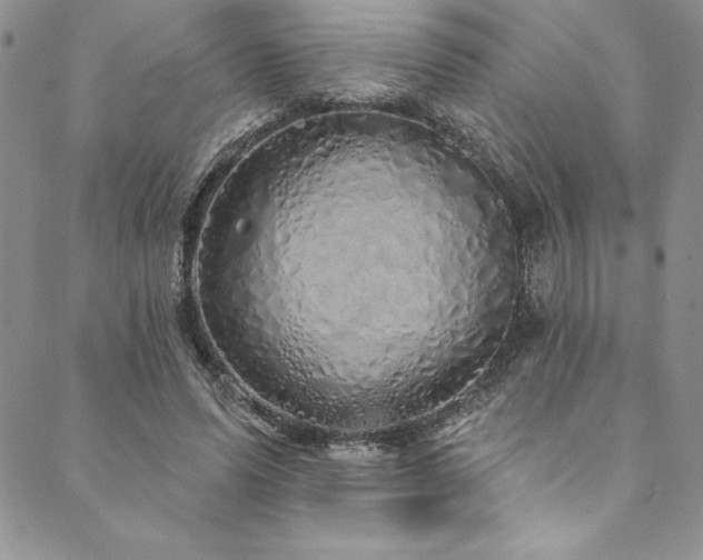 X0000090500591200707131354