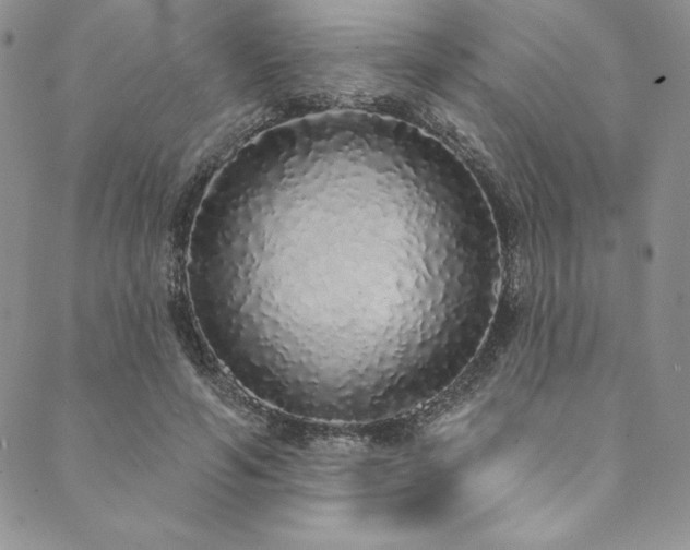 X0000090500594200707131354