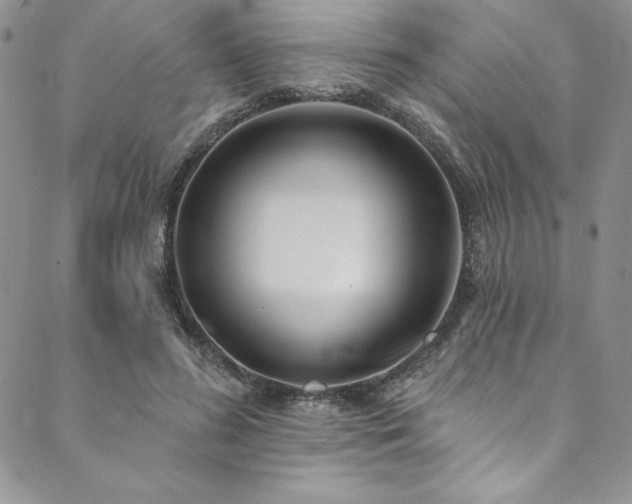 X0000090500596200707131354