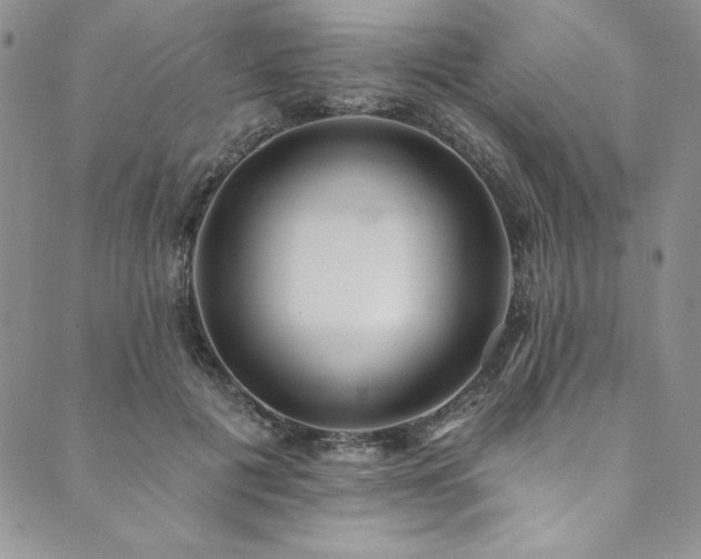 X0000090500601200707131354