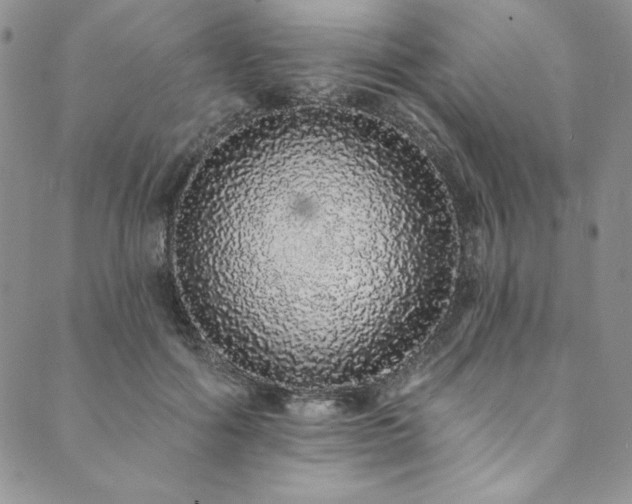 X0000090500602200707131354