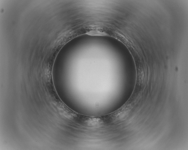X0000090500609200707131354