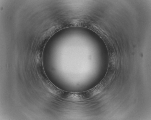 X0000090500611200707131354