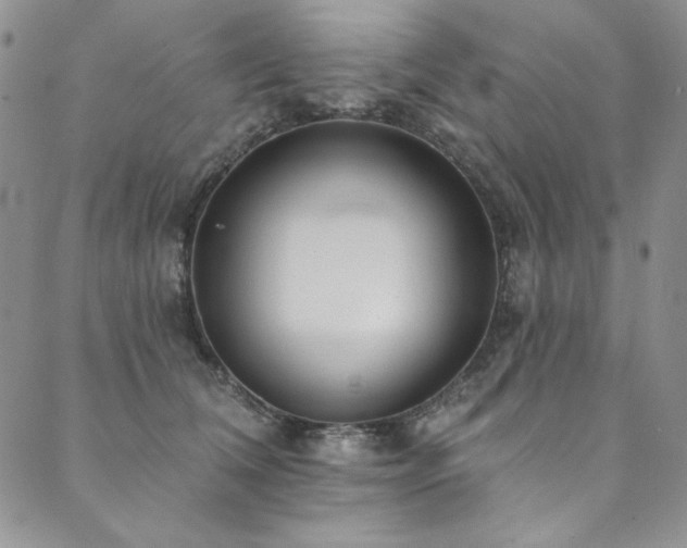 X0000090500612200707131354