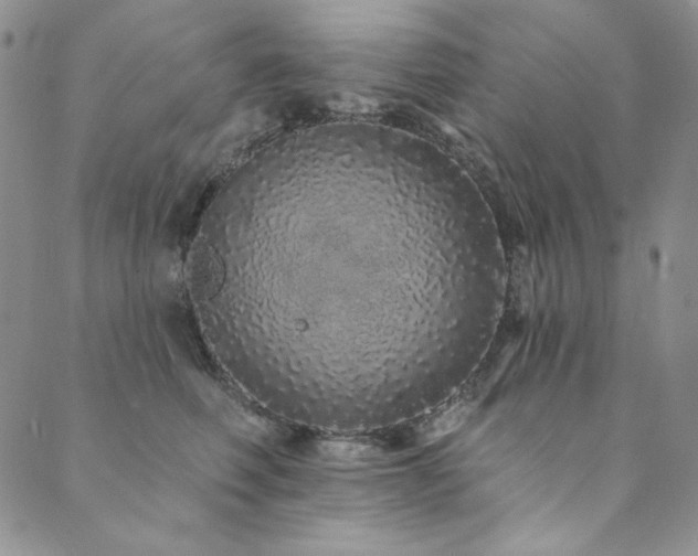 X0000090500614200707131354