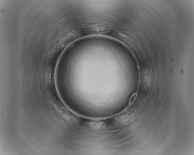 X0000090500615200707131354
