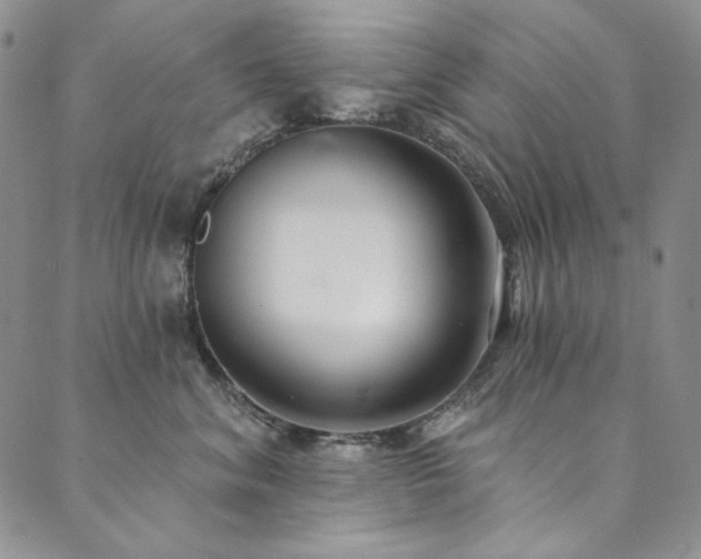 X0000090500620200707131354
