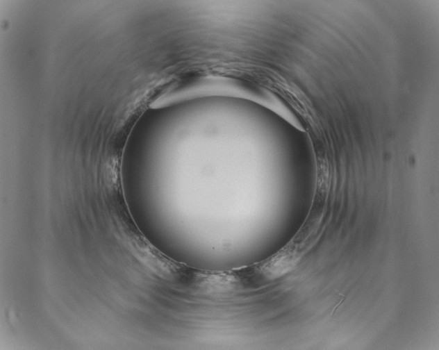 X0000090500621200707131353