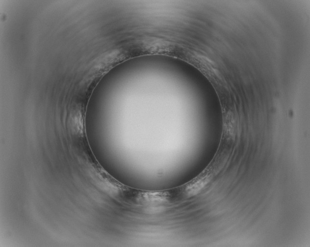 X0000090500622200707131353