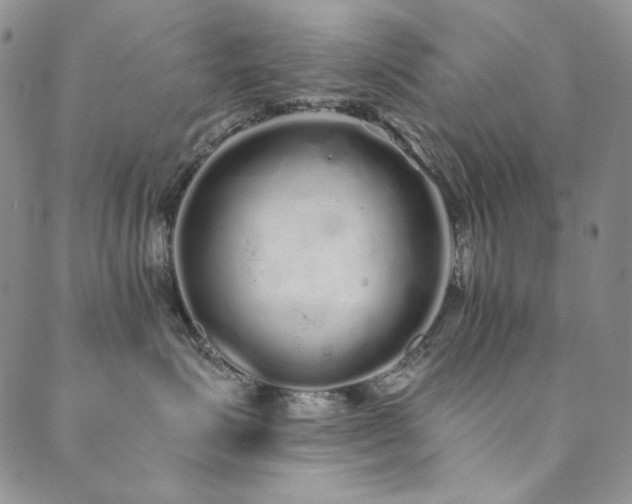X0000090500623200707131353