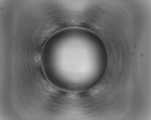 X0000090500624200707131353