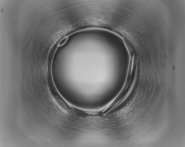 X0000090500630200707131353