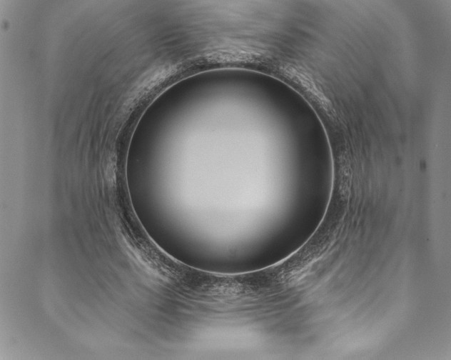 X0000090500631200707131353