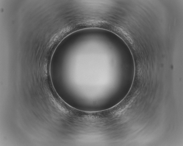 X0000090500633200707131353
