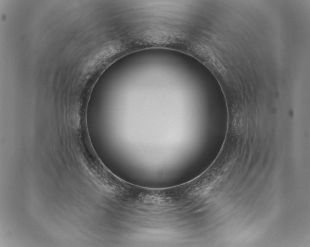 X0000090500635200707131353