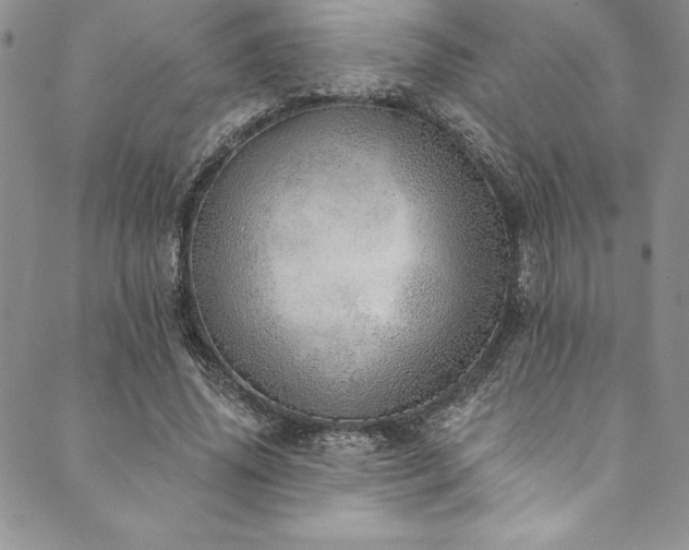 X0000090500636200707131353