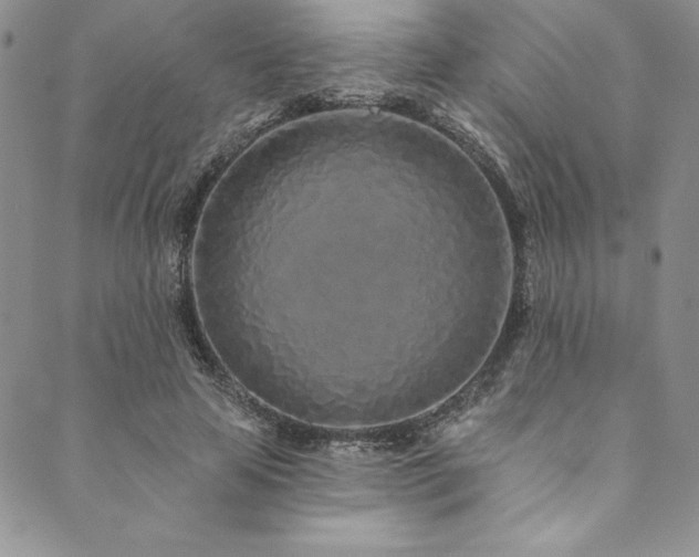 X0000090500641200707131353