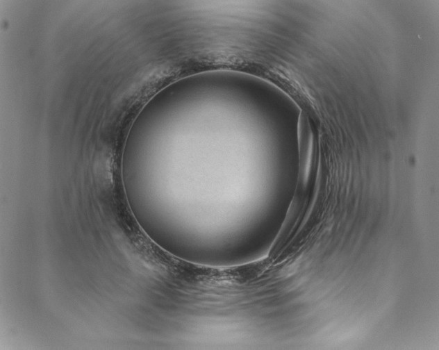 X0000090500643200707131353