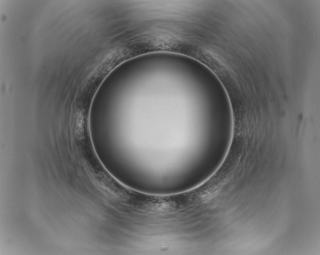 X0000090500646200707131353