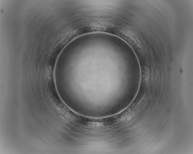 X0000090500649200707131353