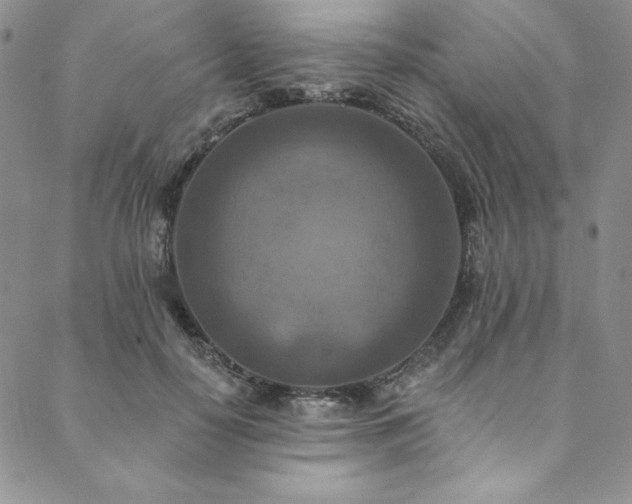 X0000090500650200707131353