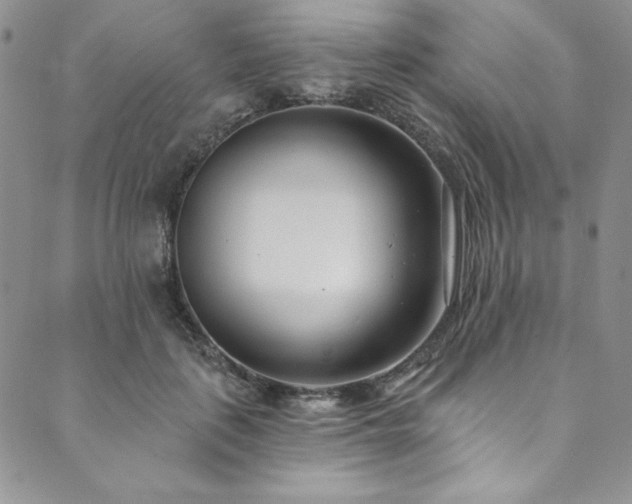 X0000090500651200707131353