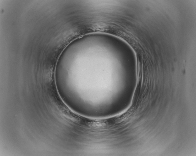 X0000090500652200707131353