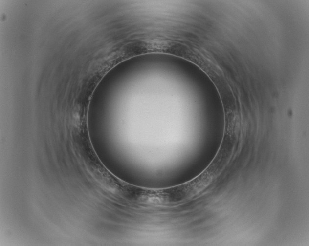 X0000090500655200707131353