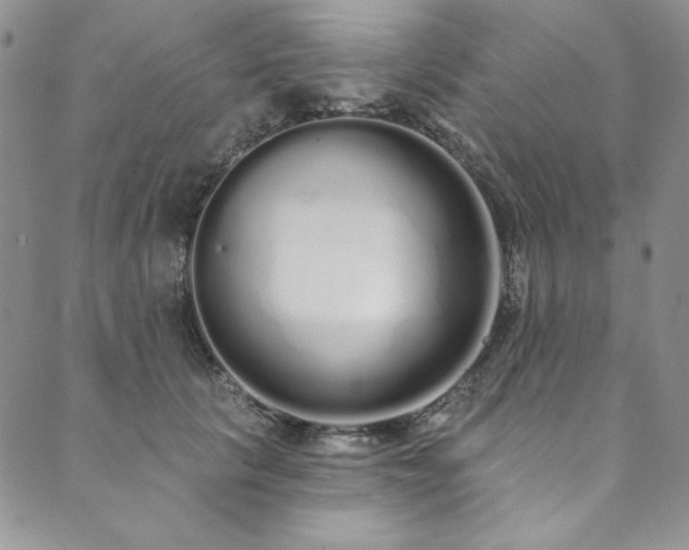 X0000090500657200707131353