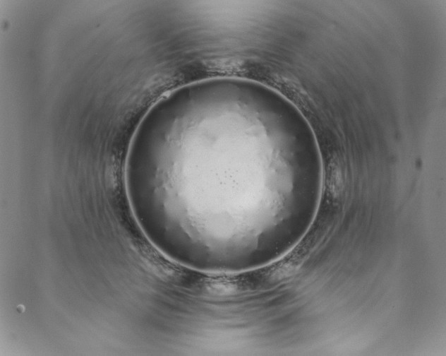 X0000090500658200707131353