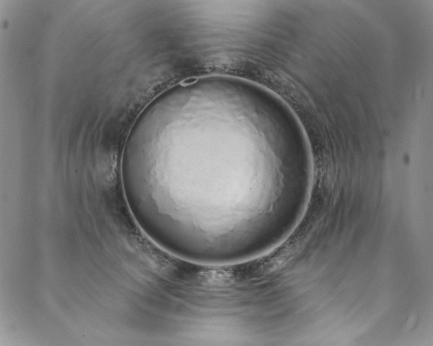 X0000090500660200707131353
