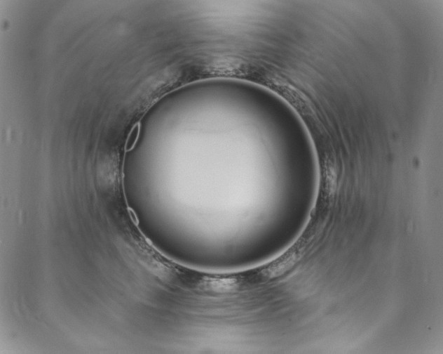 X0000090500665200707131353