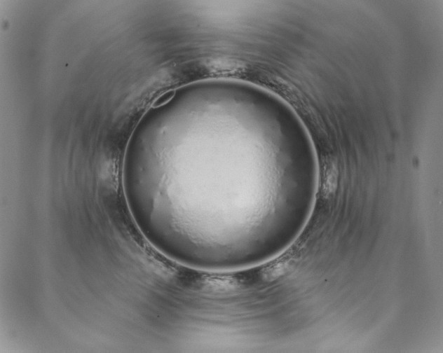 X0000090500666200707131353