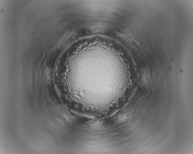 X0000090500667200707131353