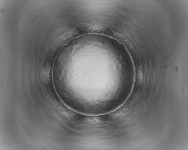 X0000090500668200707131353