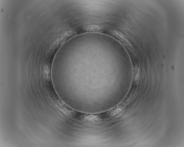 X0000090500669200707131353