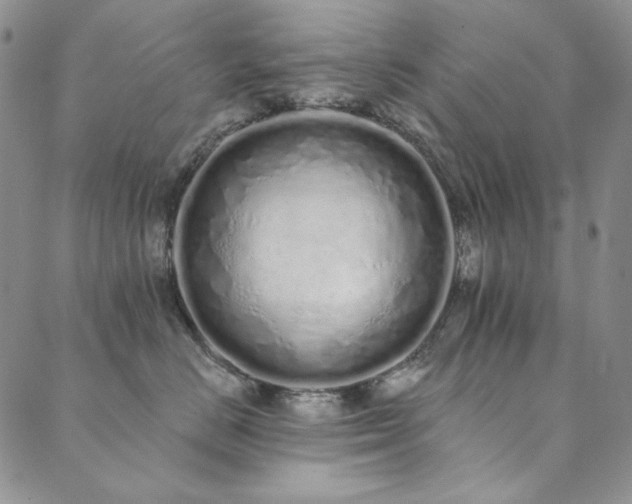 X0000090500670200707131353