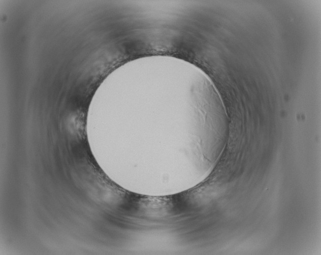 X0000090500672200707131353