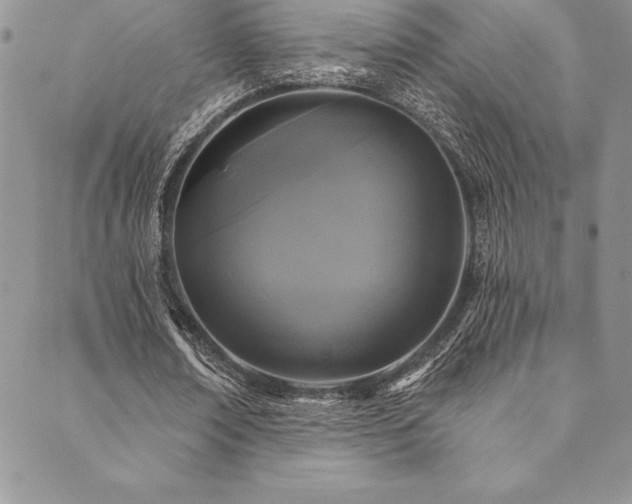 X0000090500674200707131353
