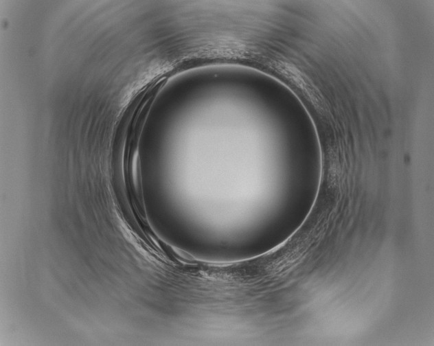 X0000090500677200707131353