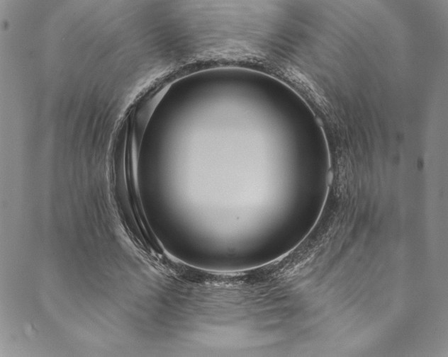 X0000090500680200707131353