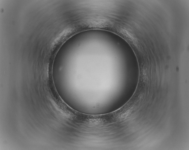 X0000090500686200707131352