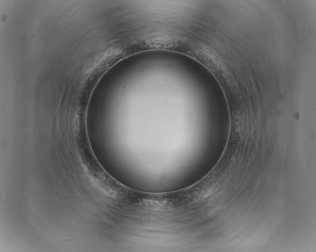 X0000090500690200707131352