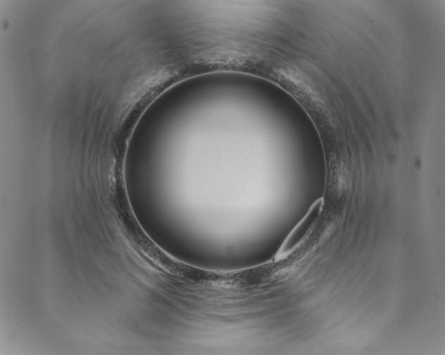 X0000090500692200707131352