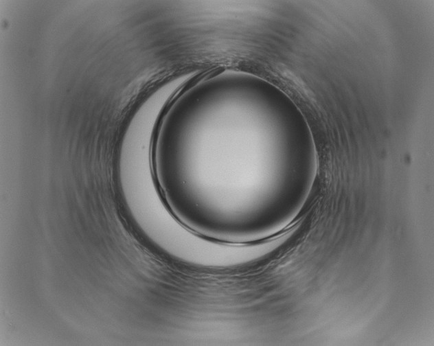 X0000090500693200707131352
