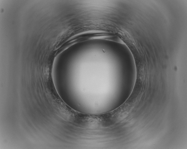 X0000090500697200707131352