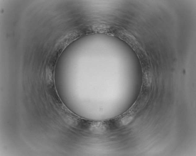 X0000090500705200707131352