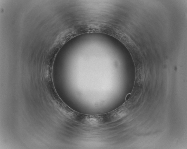 X0000090500706200707131352