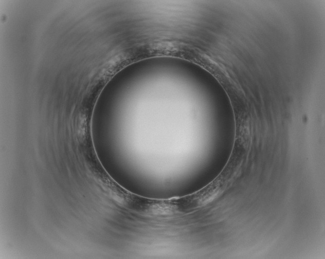X0000090500708200707131352