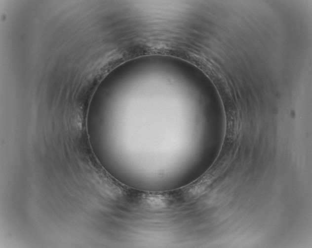 X0000090500710200707131352